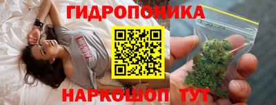 jwh Аргун