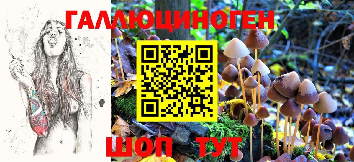 Галлюциногенные грибы Magic Shrooms Барнаул