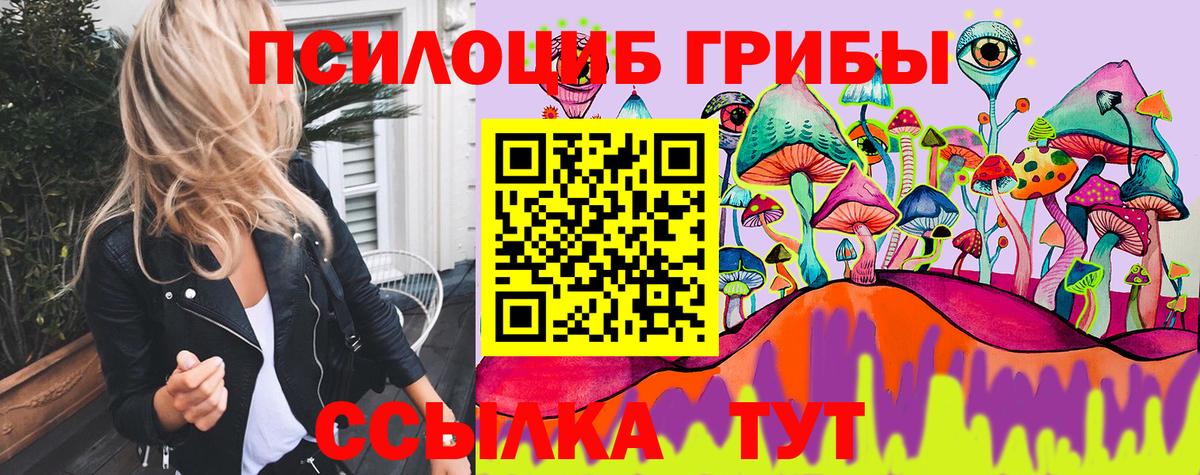 Галлюциногенные грибы MAGIC MUSHROOMS  Вход с VPN  Барнаул 